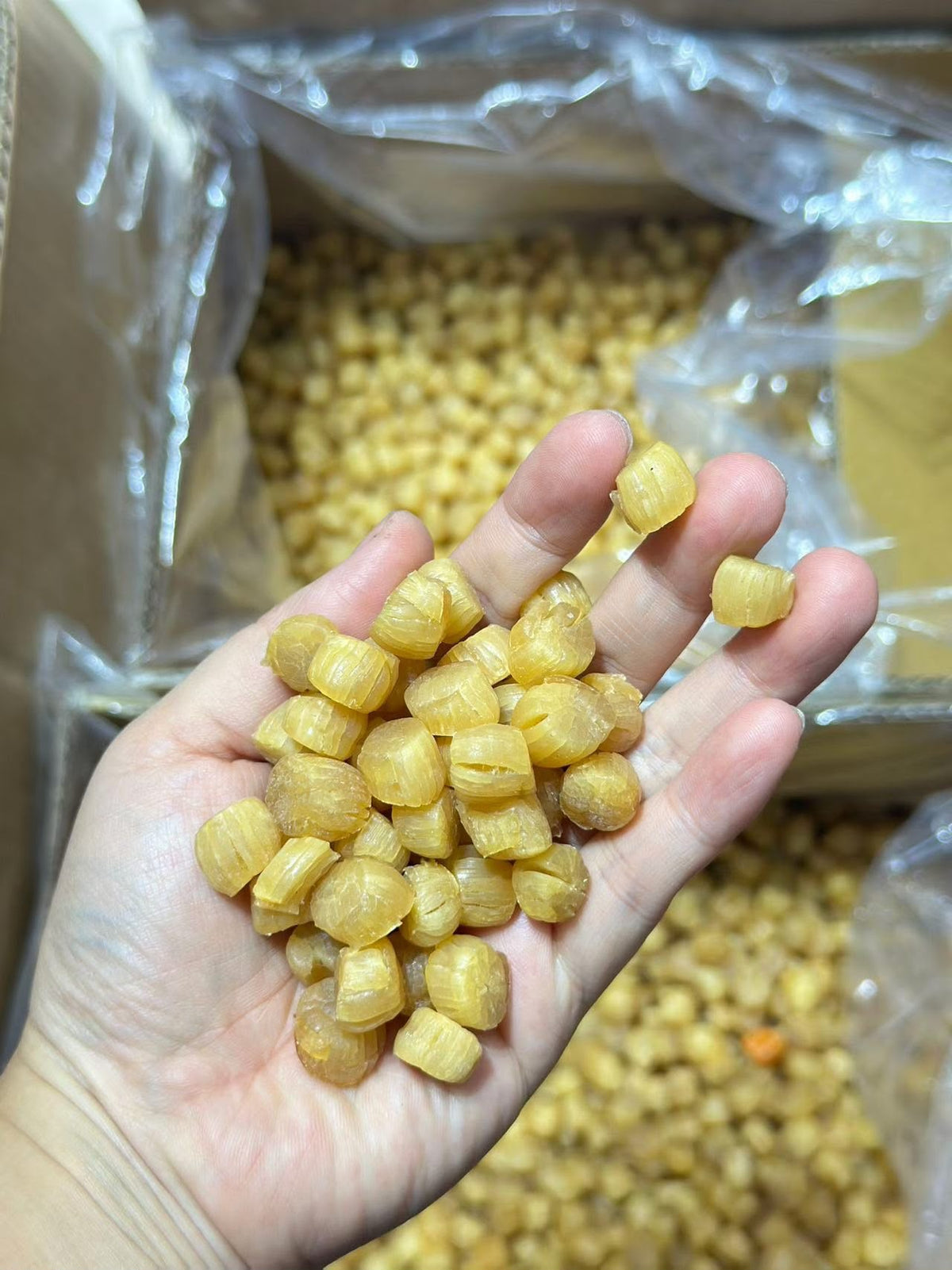 特級大連乾元貝 (300頭)