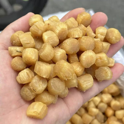 特級大連乾元貝 (300頭)