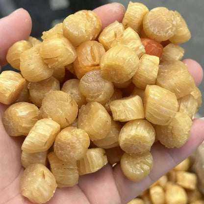 特級大連乾元貝 (300頭)