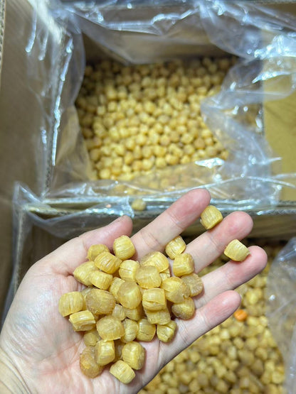 特級大連乾元貝 (300頭)
