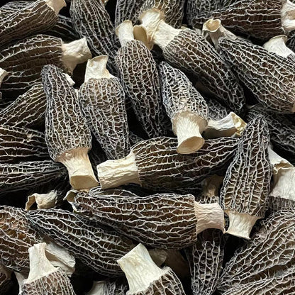 羊肚菌