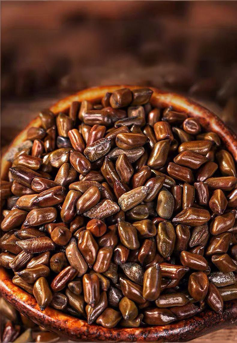 juemingzi cassia seeds