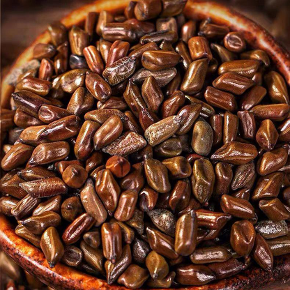 juemingzi cassia seeds