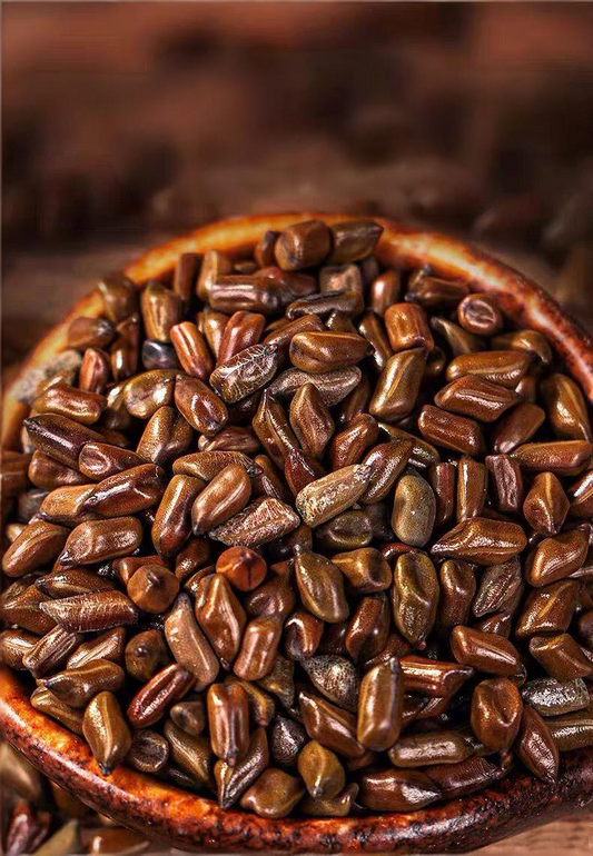 juemingzi cassia seeds